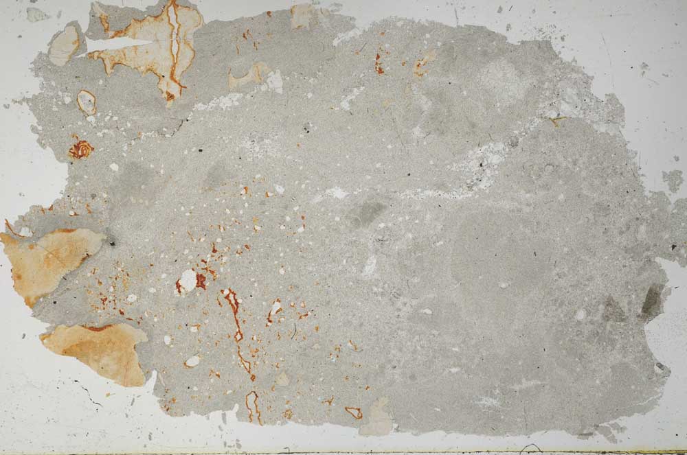 Plane Polarized, S51397