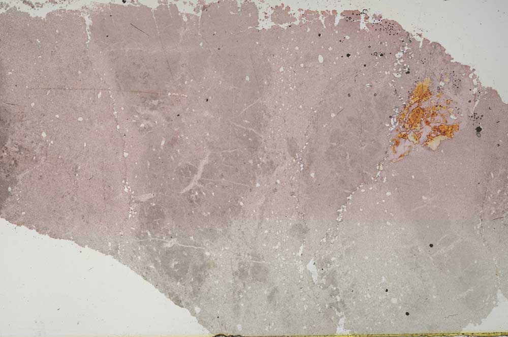 Plane Polarized, S51397/A