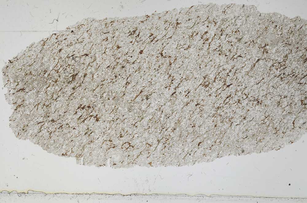 Plane Polarized, S51409