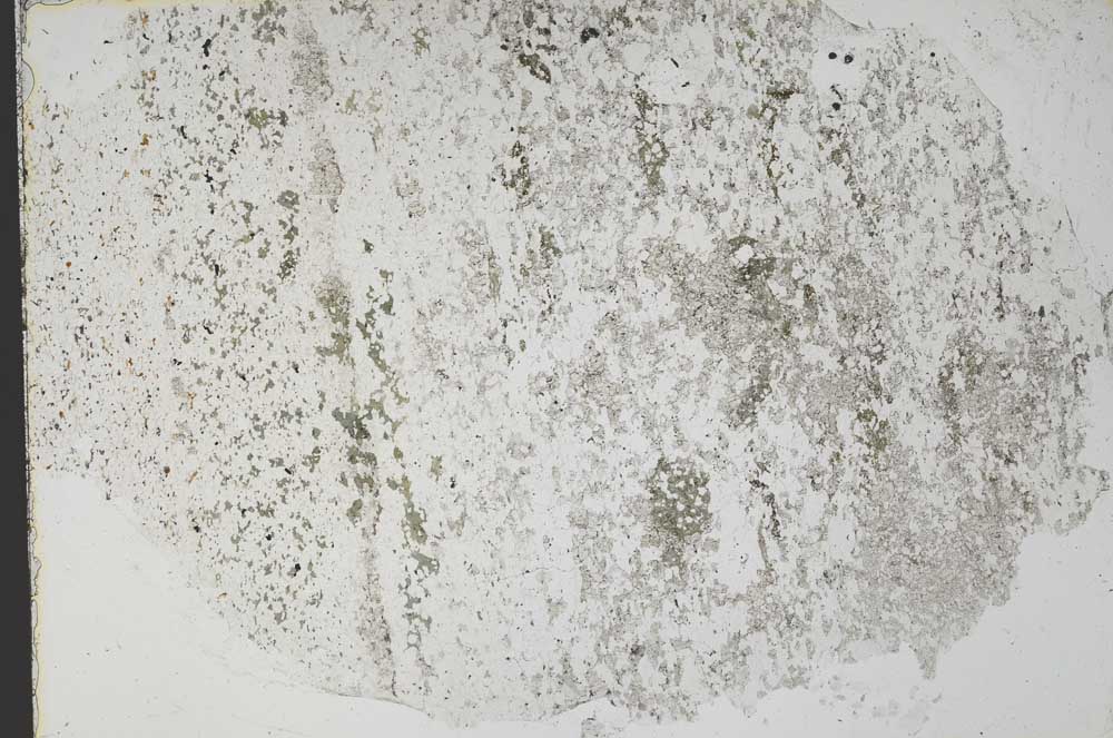 Plane Polarized, S51426