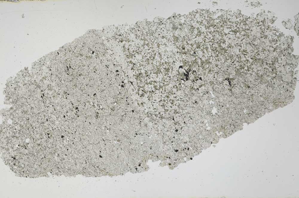 Plane Polarized, S51427