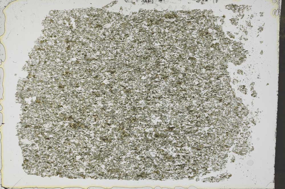 Plane Polarized, S51441