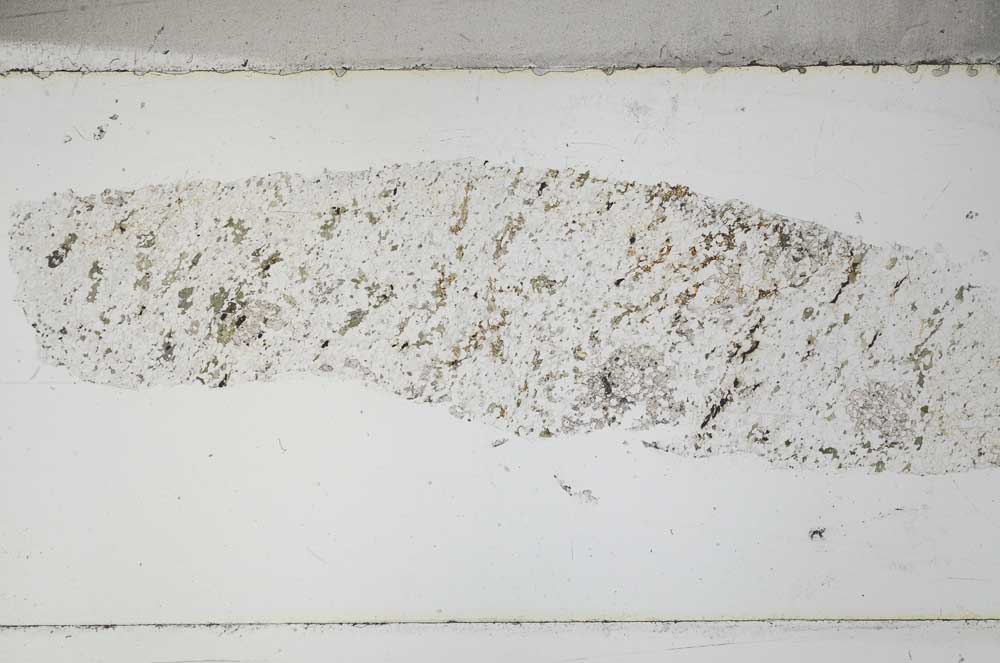 Plane Polarized, S51443
