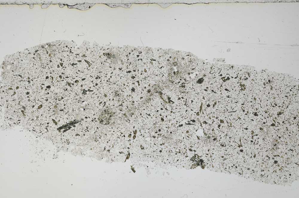 Plane Polarized, S51446