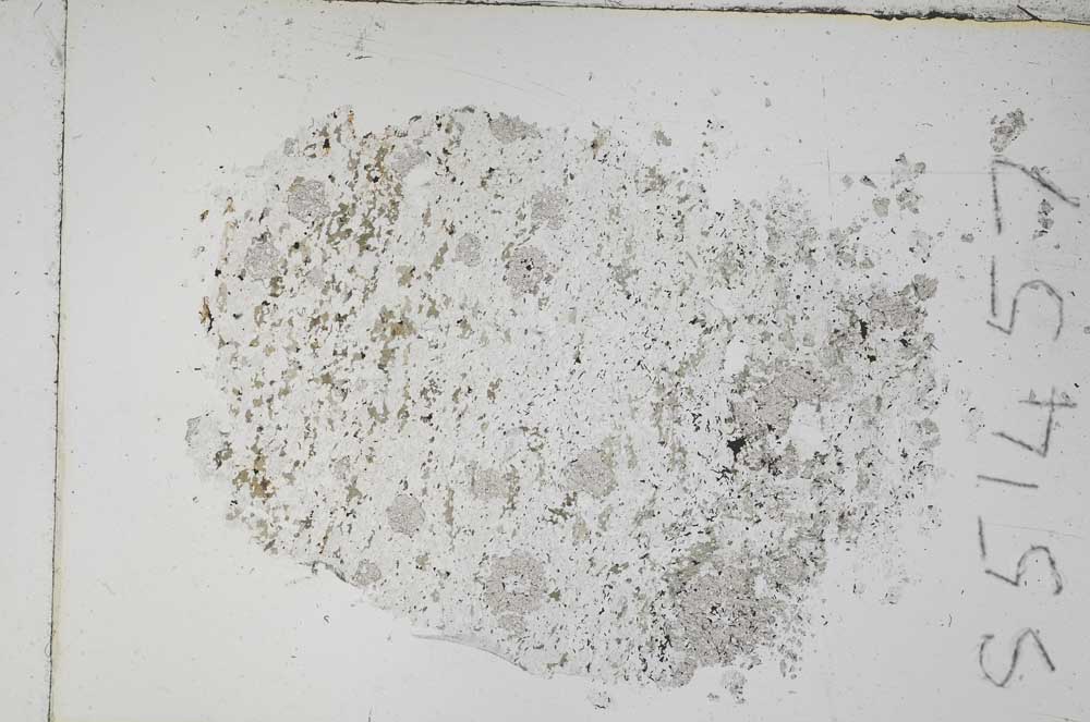 Plane Polarized, S51457