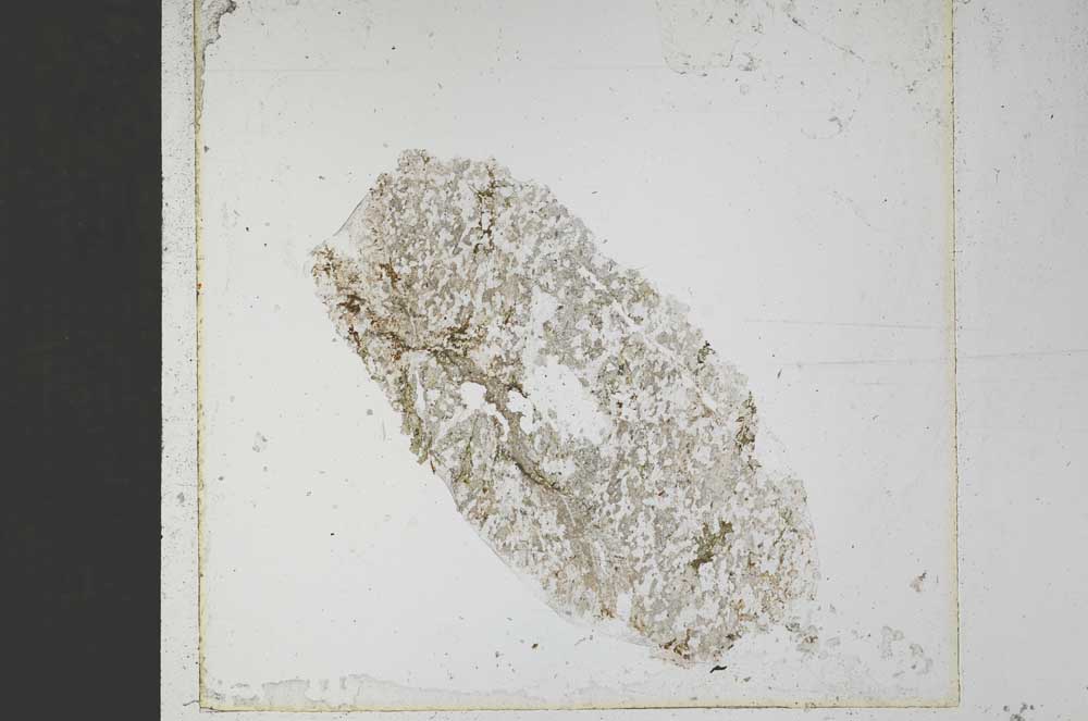 Plane Polarized, S51463