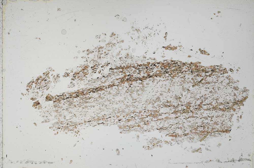 Plane Polarized, S51465