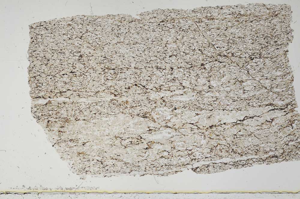 Plane Polarized, S51472
