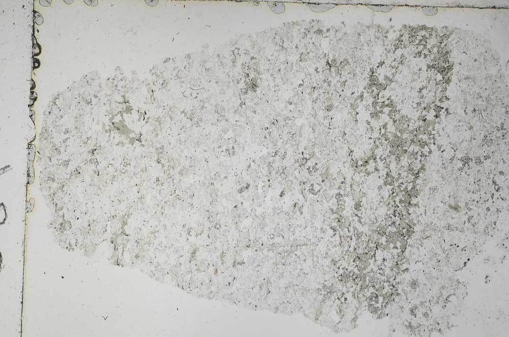 Plane Polarized, S51483