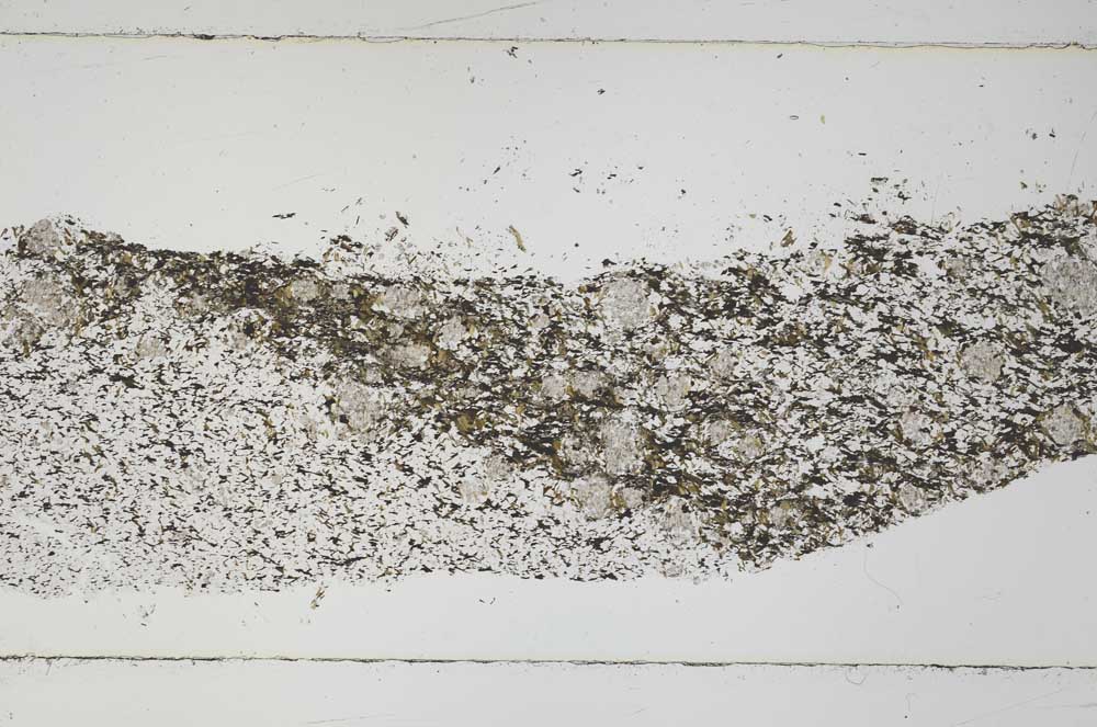 Plane Polarized, S51484