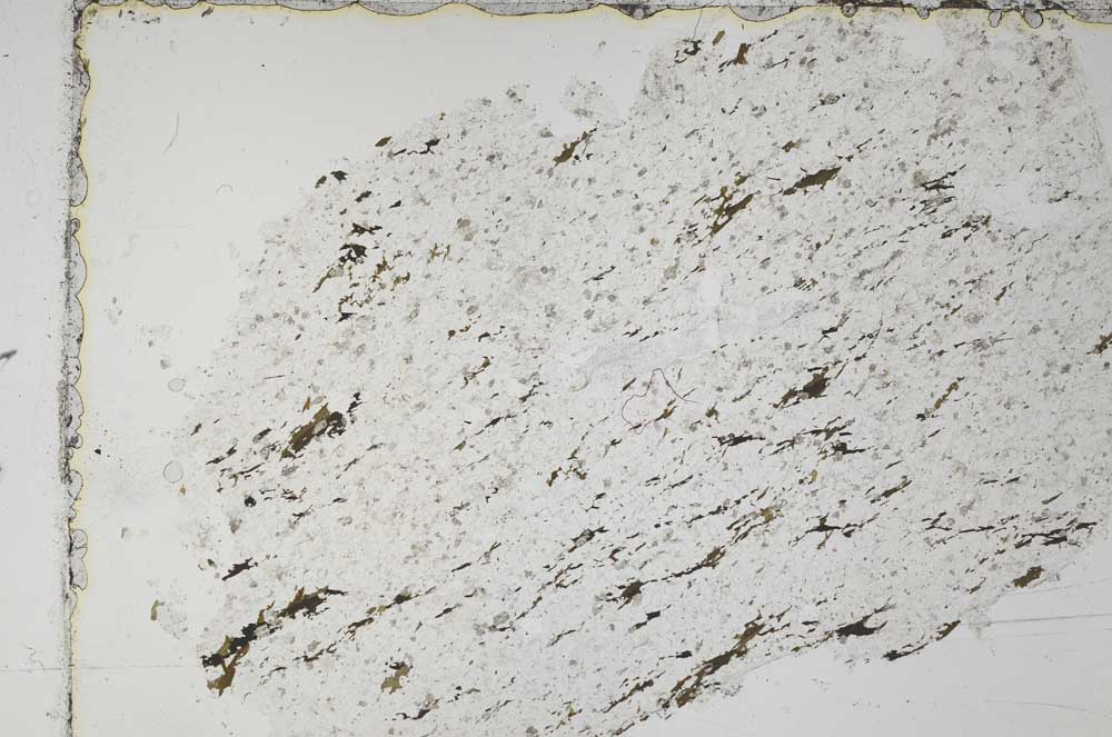 Plane Polarized, S51485