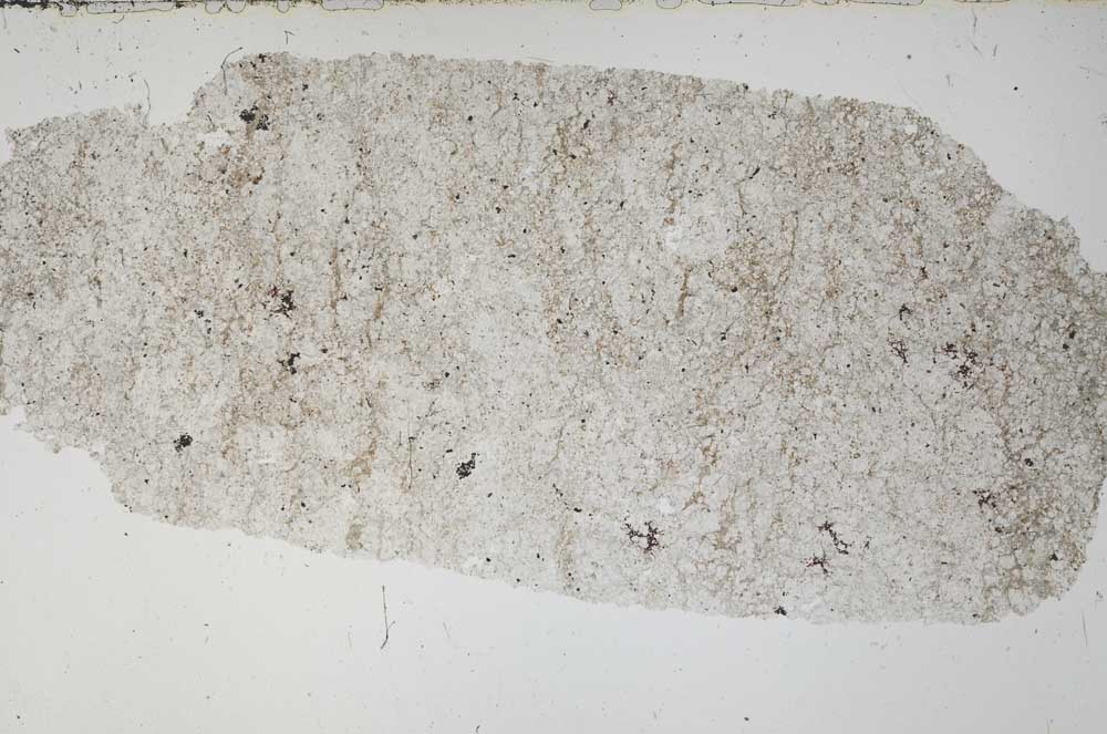 Plane Polarized, S51499
