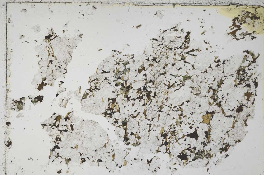 Plane Polarized, S51513