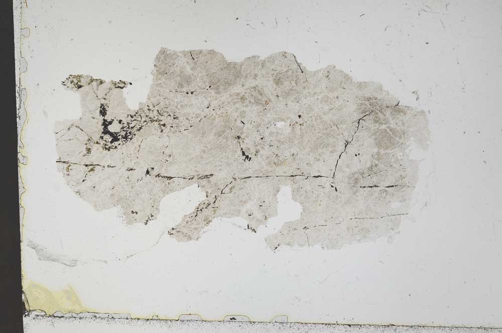 Plane Polarized, S51520