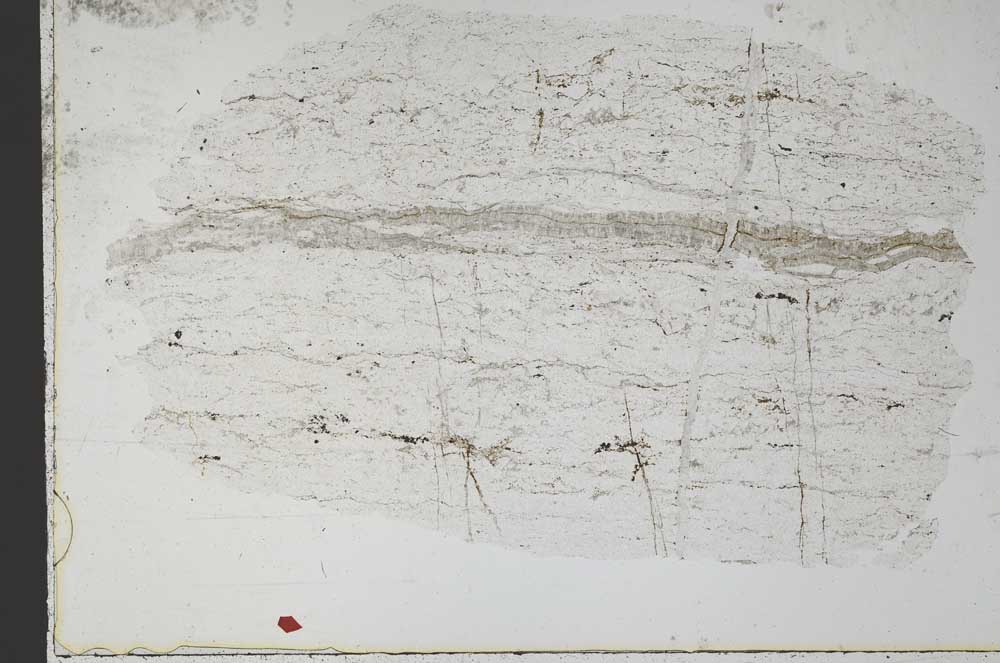 Plane Polarized, S51559