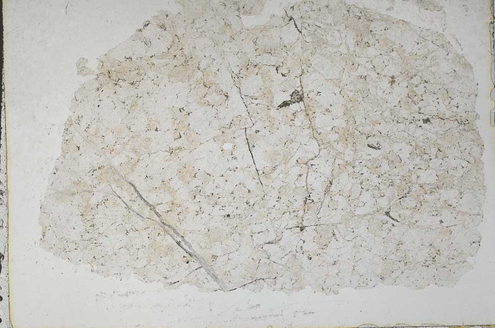 Plane Polarized, S51582