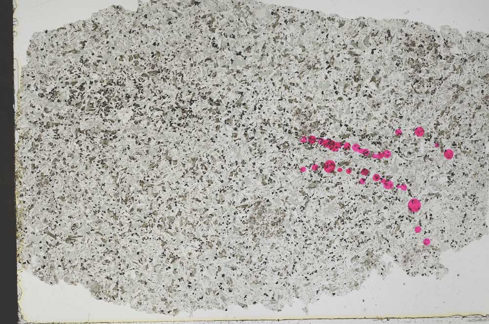 Plane Polarized, S51586