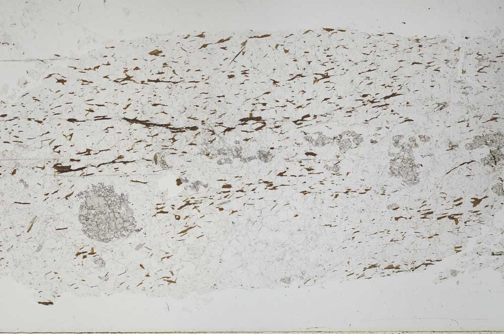 Plane Polarized, S51592