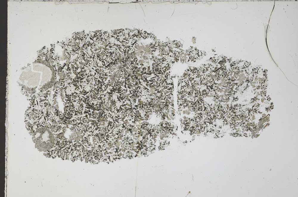 Plane Polarized, S51598