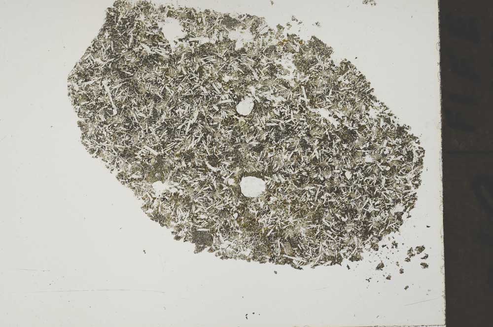 Plane Polarized, S51602