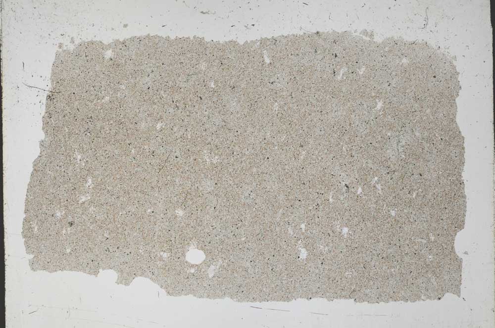 Plane Polarized, S51667