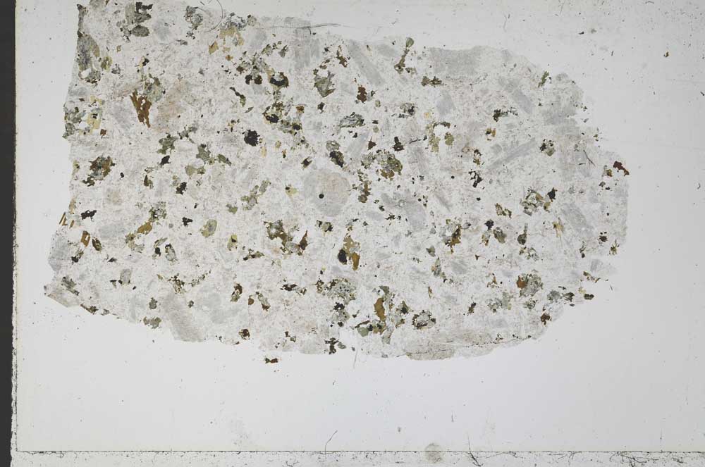 Plane Polarized, S51670