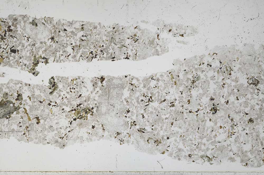 Plane Polarized, S51674