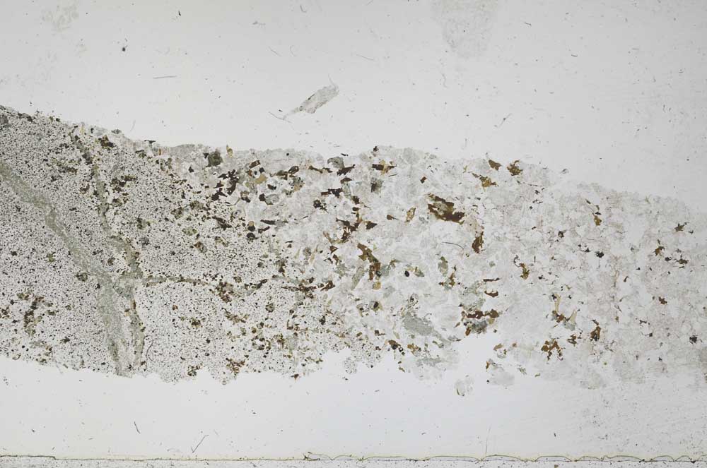 Plane Polarized, S51675