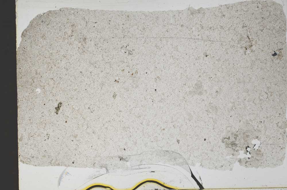 Plane Polarized, S51685