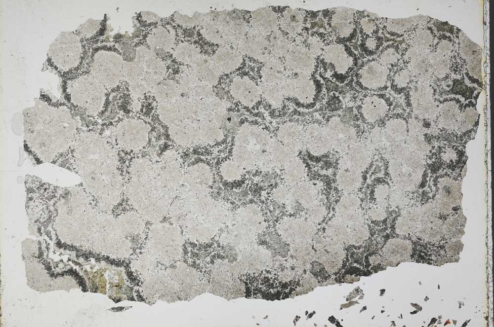 Plane Polarized, S51687