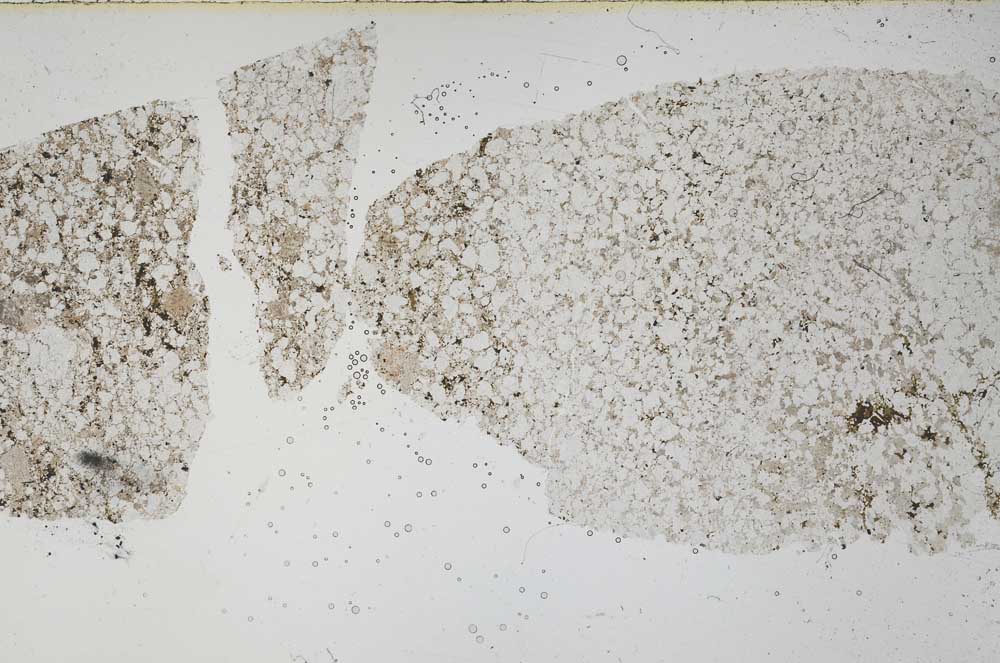 Plane Polarized, S51690