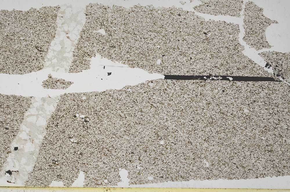 Plane Polarized, S51691