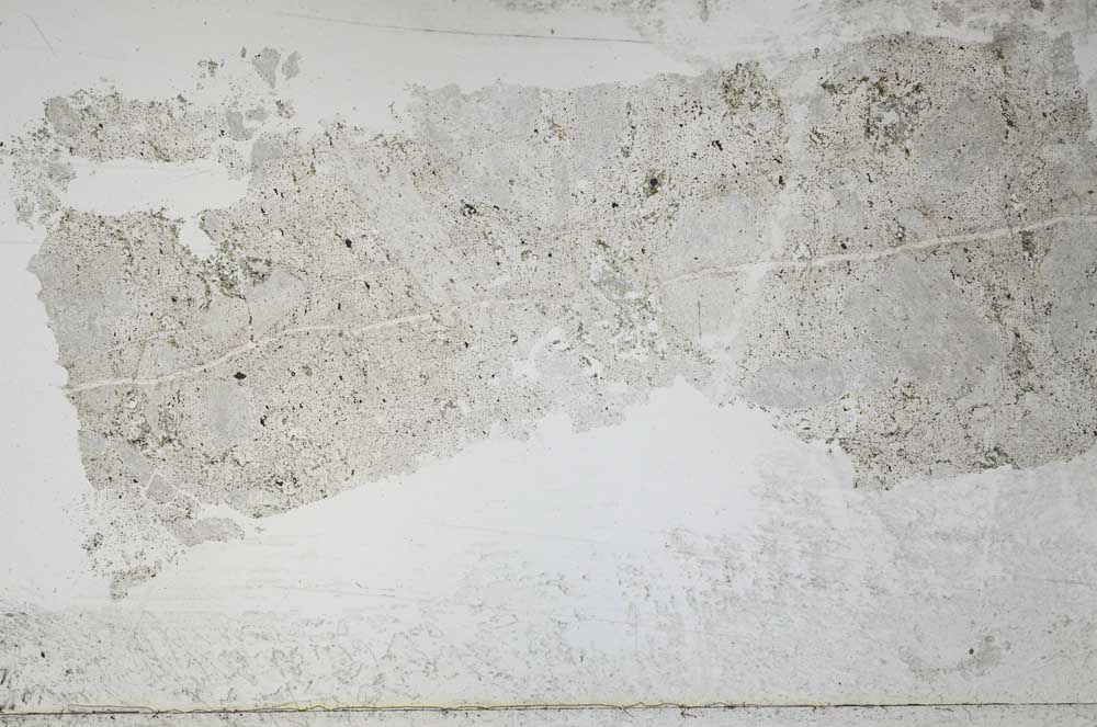 Plane Polarized, S51693