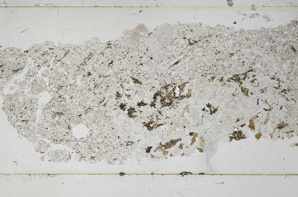 Plane Polarized, S51697