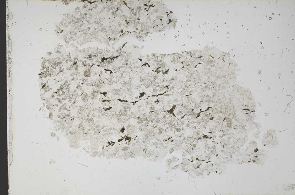 Plane Polarized, S51717