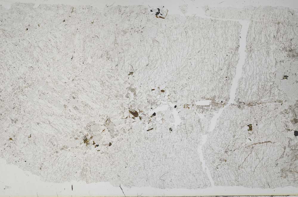 Plane Polarized, S51718