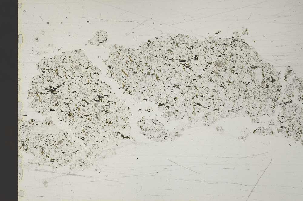 Plane Polarized, S51721