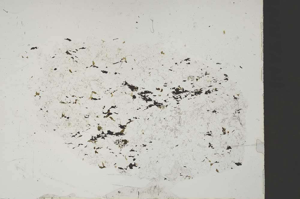 Plane Polarized, S51734