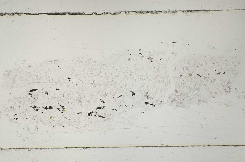 Plane Polarized, S51735