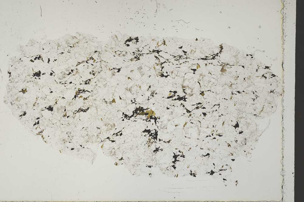Plane Polarized, S51737