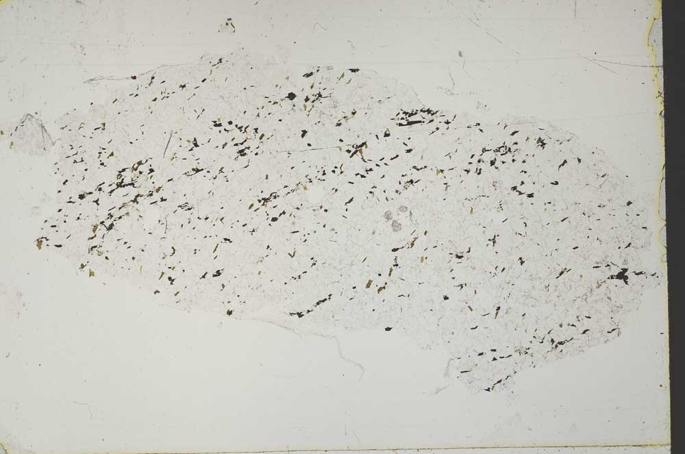 Plane Polarized, S51738