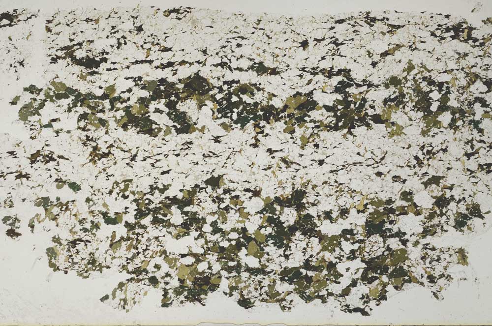 Plane Polarized, S51739