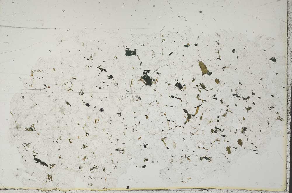 Plane Polarized, S51745