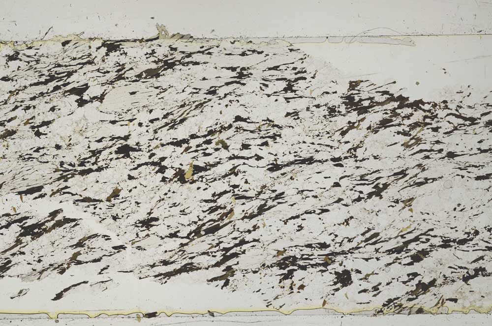 Plane Polarized, S51747