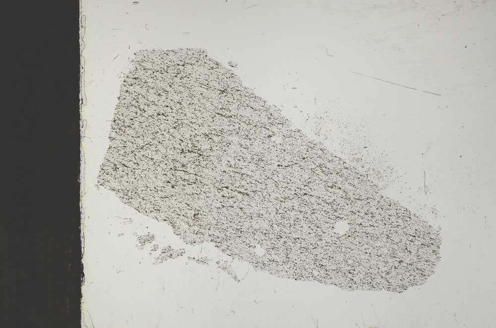 Plane Polarized, S51750