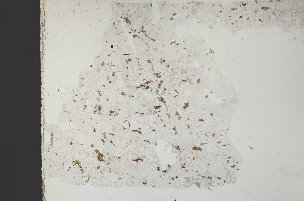 Plane Polarized, S51754