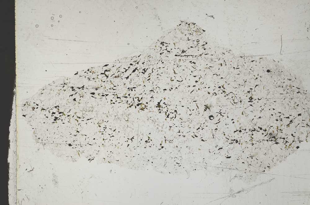 Plane Polarized, S51755