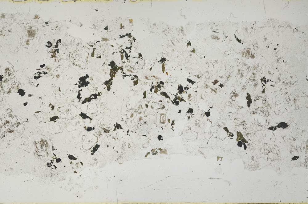 Plane Polarized, S51756