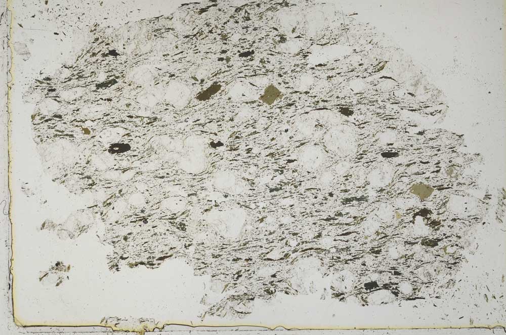 Plane Polarized, S51762