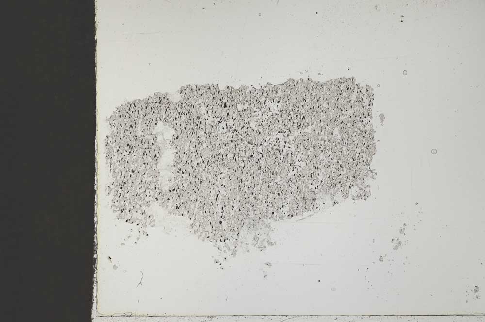 Plane Polarized, S51764